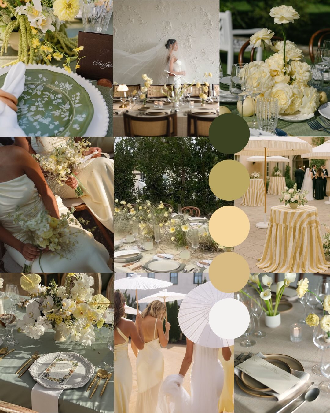 Planche d’inspiration — Olive, champagne & lumière naturelle